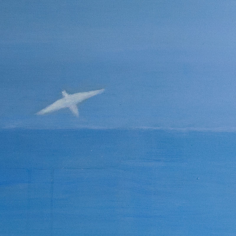Liberi di volare